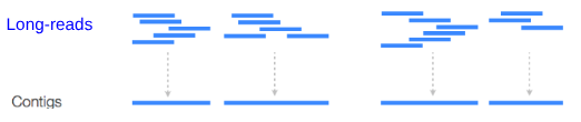 Illustration of the working principle of contig