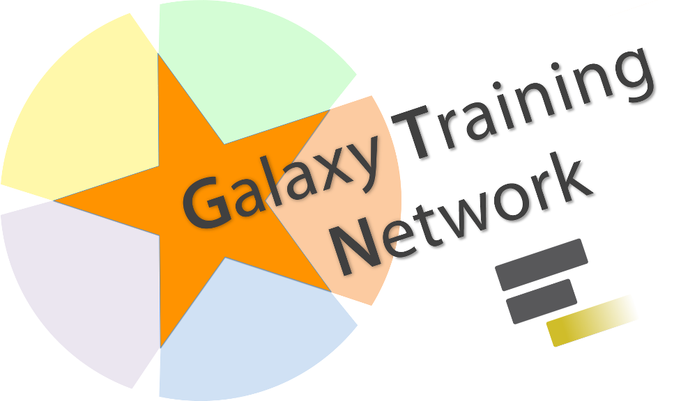 Galaxy Training Network