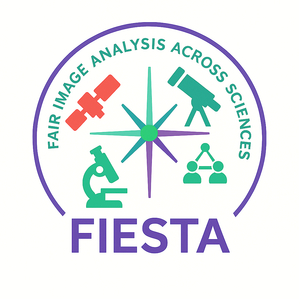 fiesta
