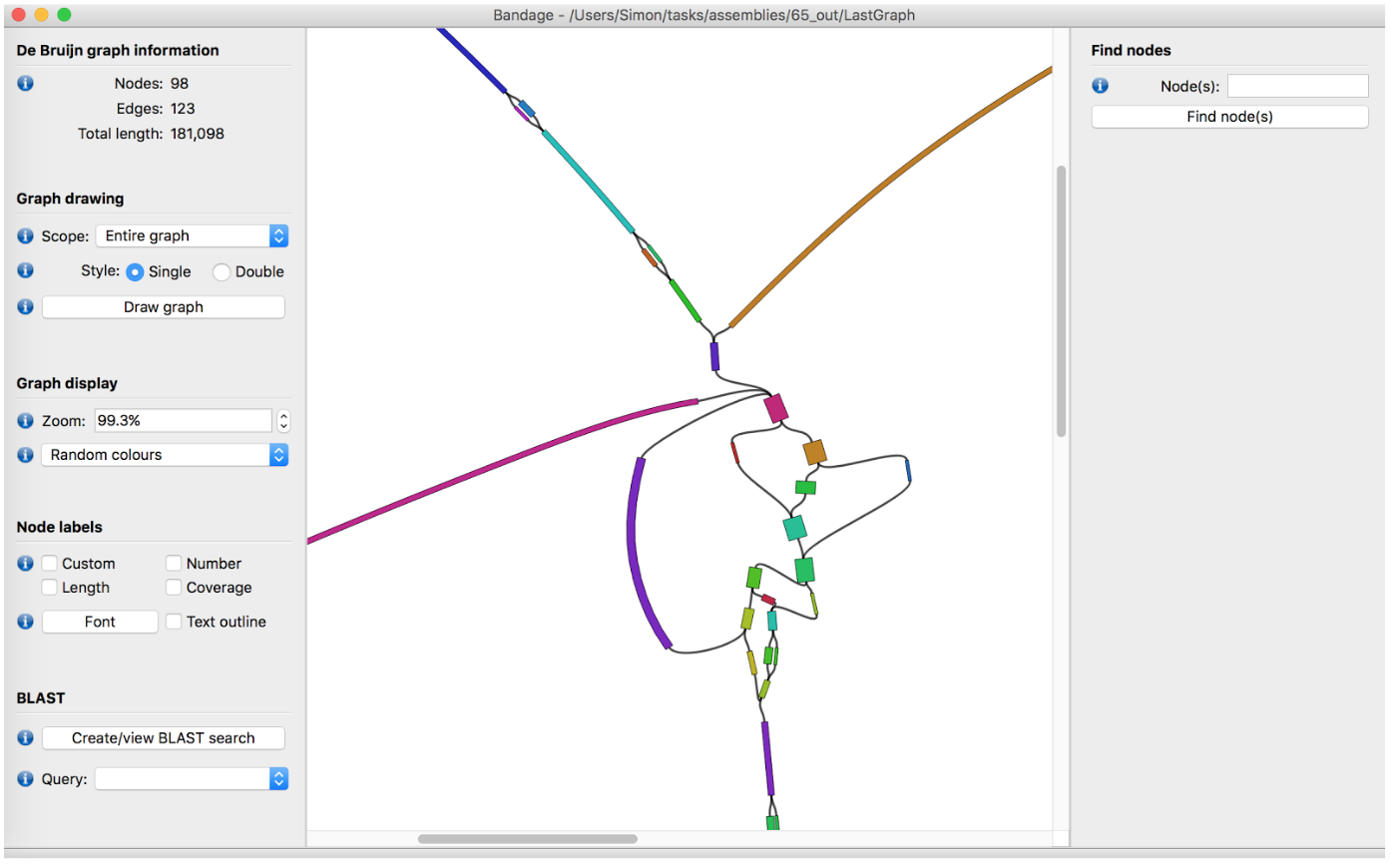A screenshot of the bandage gui showning drawing options on left and a middle window with a close up of a genome assembly graph.