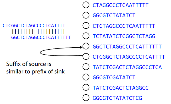 Cartoons of two sequences aligned with nearly perfect matches. On the right are a list of nodes representing sequences. The two from the alignment are linked with an arrow and the text reads Suffix of source is similar to prefix of sink.