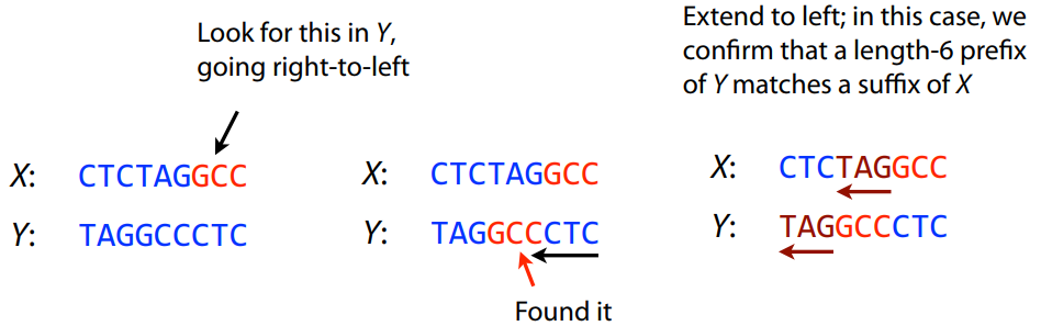 Two sequences are shown X and Y. The X sequence ends with the string GCC. In Y they start looking from the end until they find a GCC. In this case we confirm a length-6 prefix of Y matches a suffix of X.