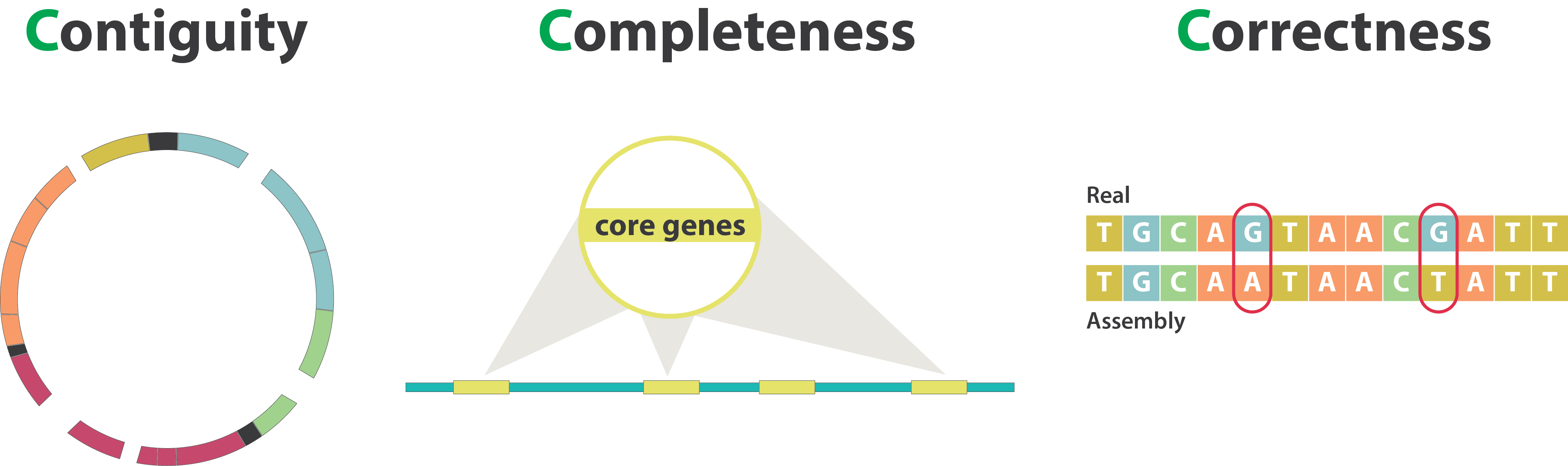 The 3C for genome assembly quality control