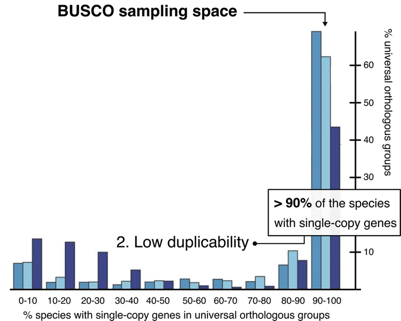 Explanation of orthology classification for creation of BUSCO sets - Duplicability