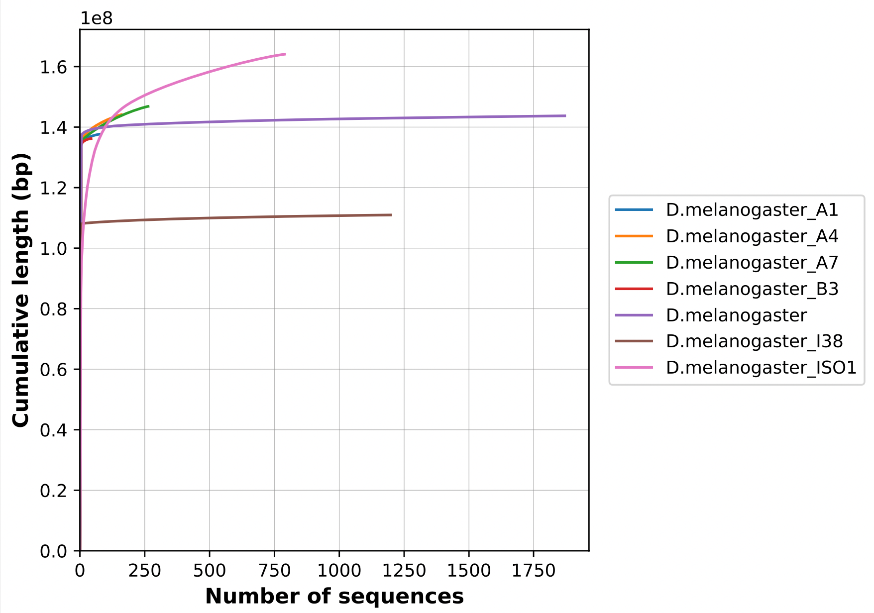 Example of cumulative sequence length graph for Drosophila assemblies