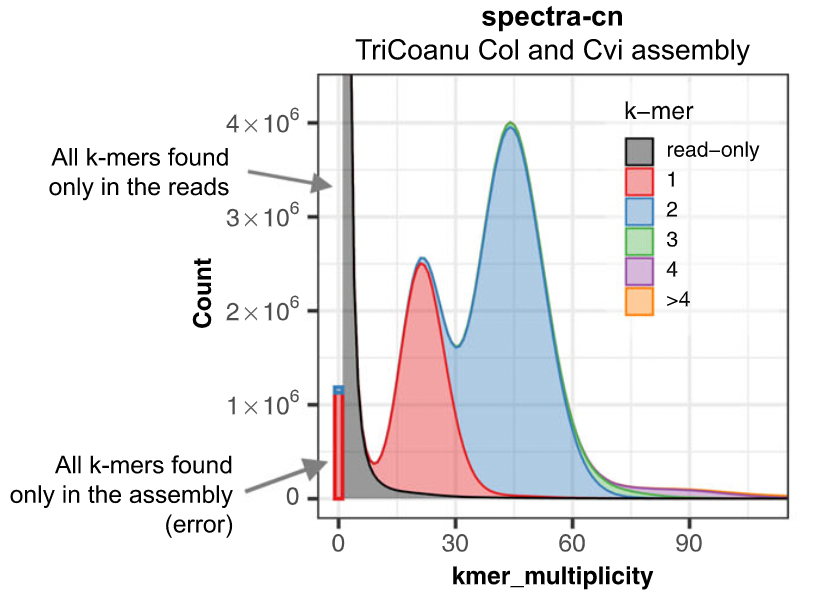 How to read kmer spectrum of an assembly using reads