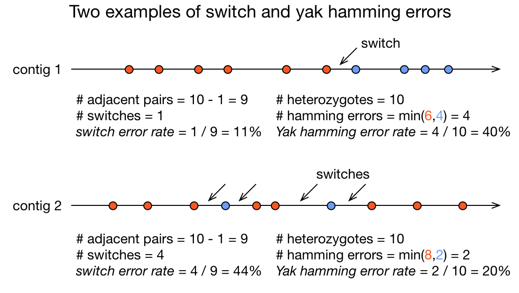 Illustration of switch and hamming errors in phased genome assembly.