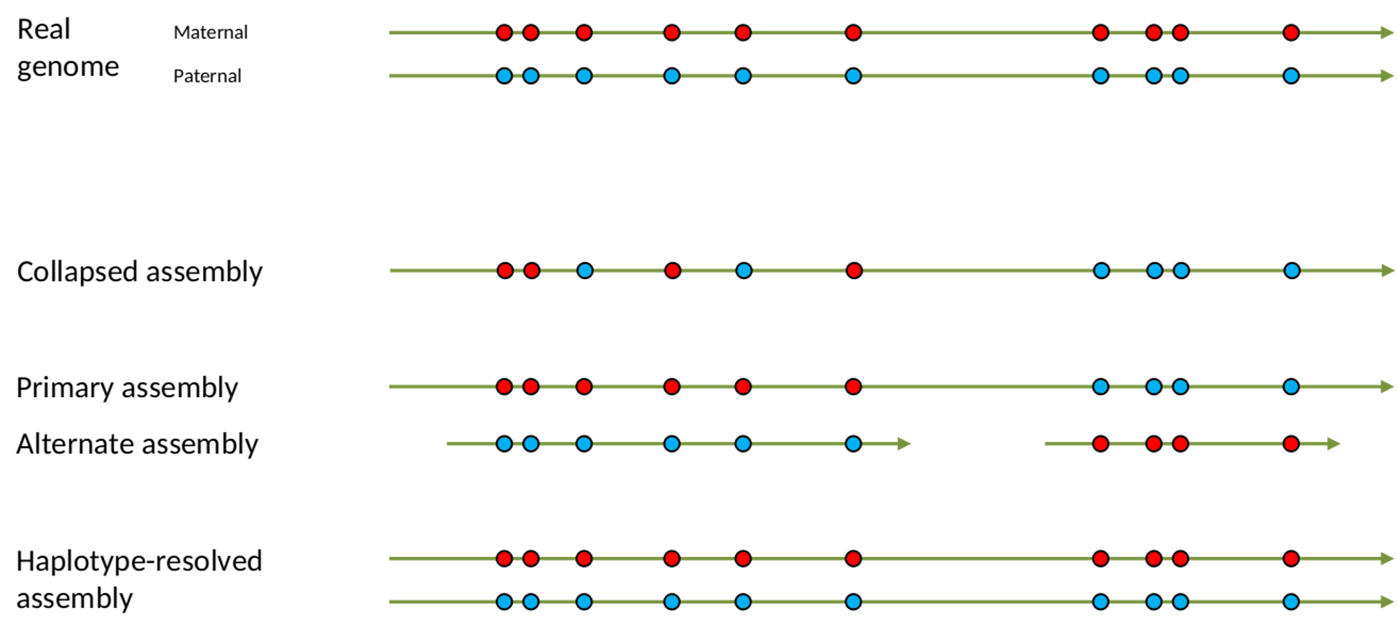 Illustration of the assembly types