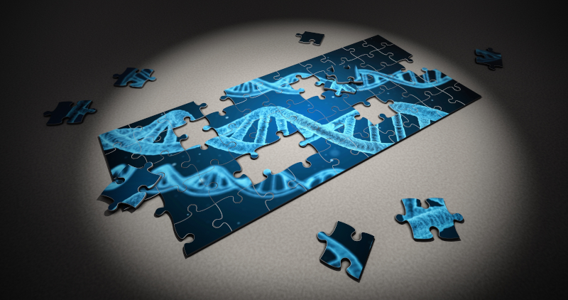 A picture of a jigsaw puzzle with a DNA image, and several missing pieces scattered around.