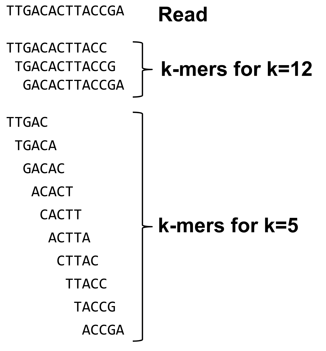 K-mers are subwords of length k of a string