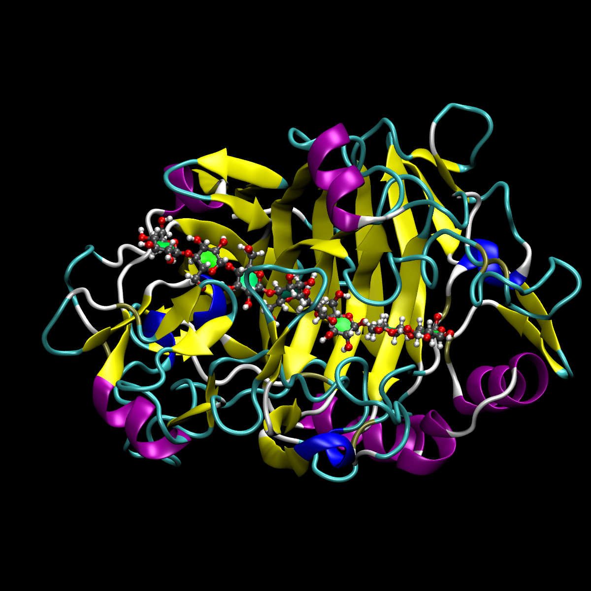 Snapshot of 7CEL pdb with octaose ligand. 
