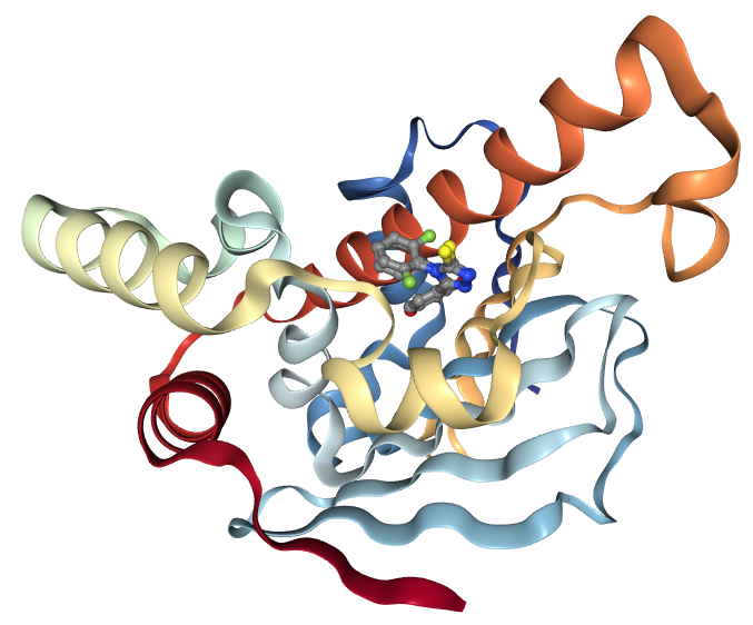 Image showing Hsp90 structure, with a ligand bound. 