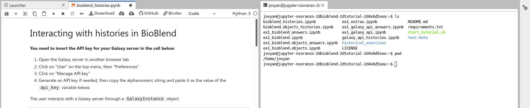 screenshot of jupyterlab with notebook and terminal side-by-side.