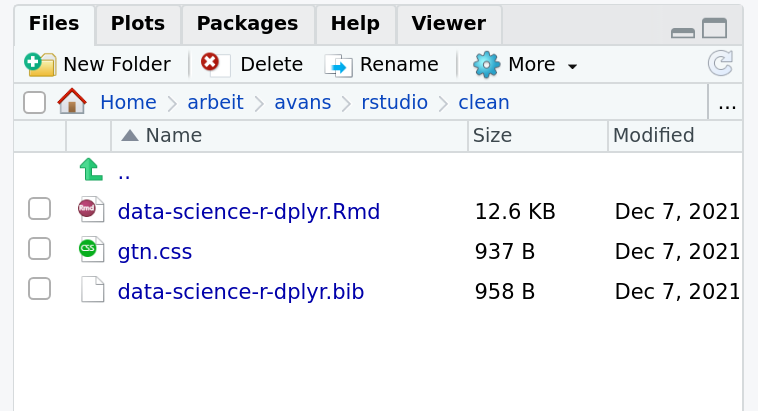 Screenshot of Files tab in RStudio, here there are three files listed, a data-science-r-dplyr.Rmd file, a css and a bib file.
