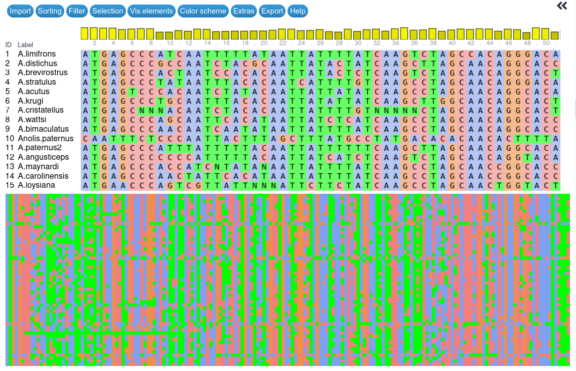 Screenshot of sequence visualisation output from Galaxy. Fifteen Anolis DNA sequences are arranged in rows. The nucleotides are colour coded and arranged in columns: A(blue), T (green), C (pink), G (orange). The top half of the image shows approximately 50 bases of each sequence. The lower half of the image shows a zoomed out heatmap-like image of a larger portion of the sequences.