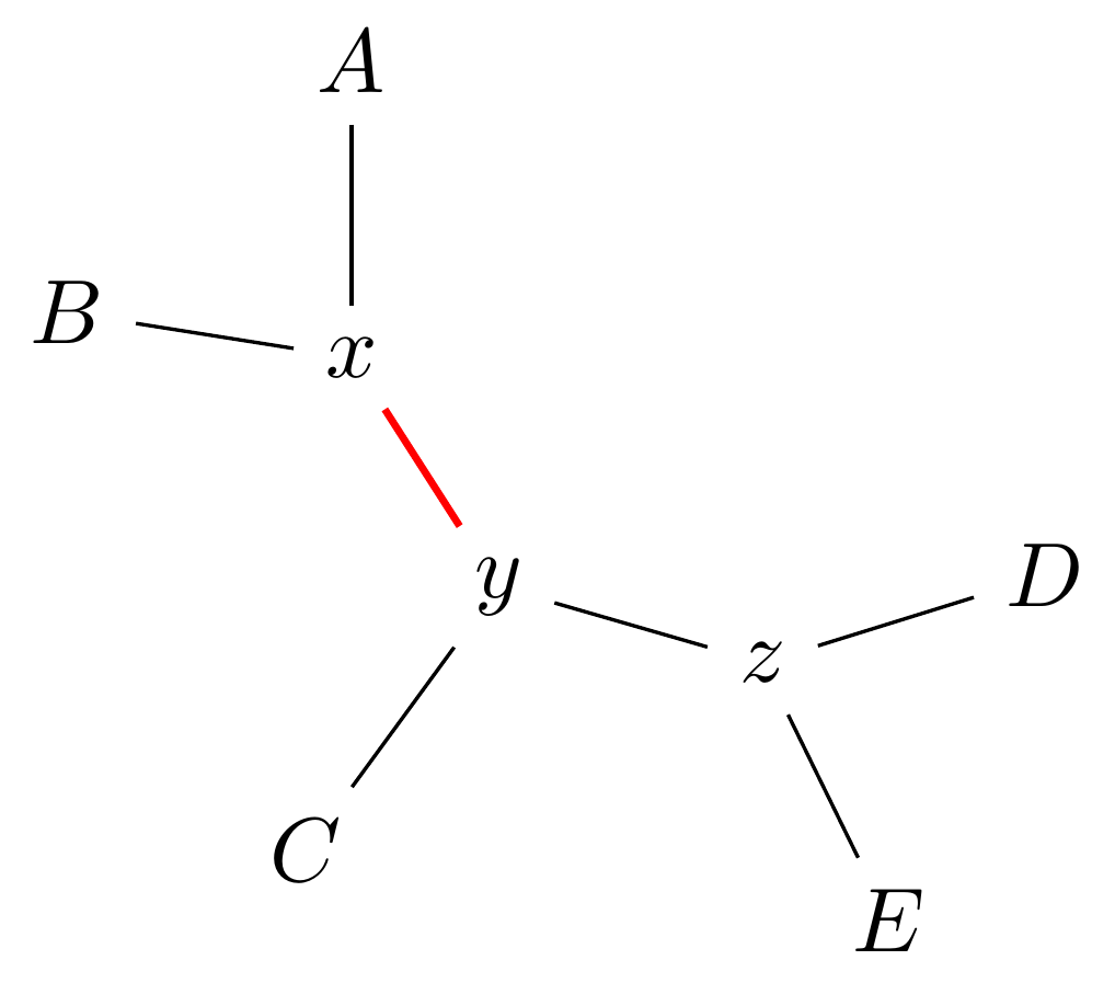 Schematic of an unrooted phylogenetic tree. There are three connected internal nodes x,y,z and five tips A, B, C, D, E. A and B are connected to x; C is connected to Y; E and D are connected to z. The edge connecting x and y is coloured red.