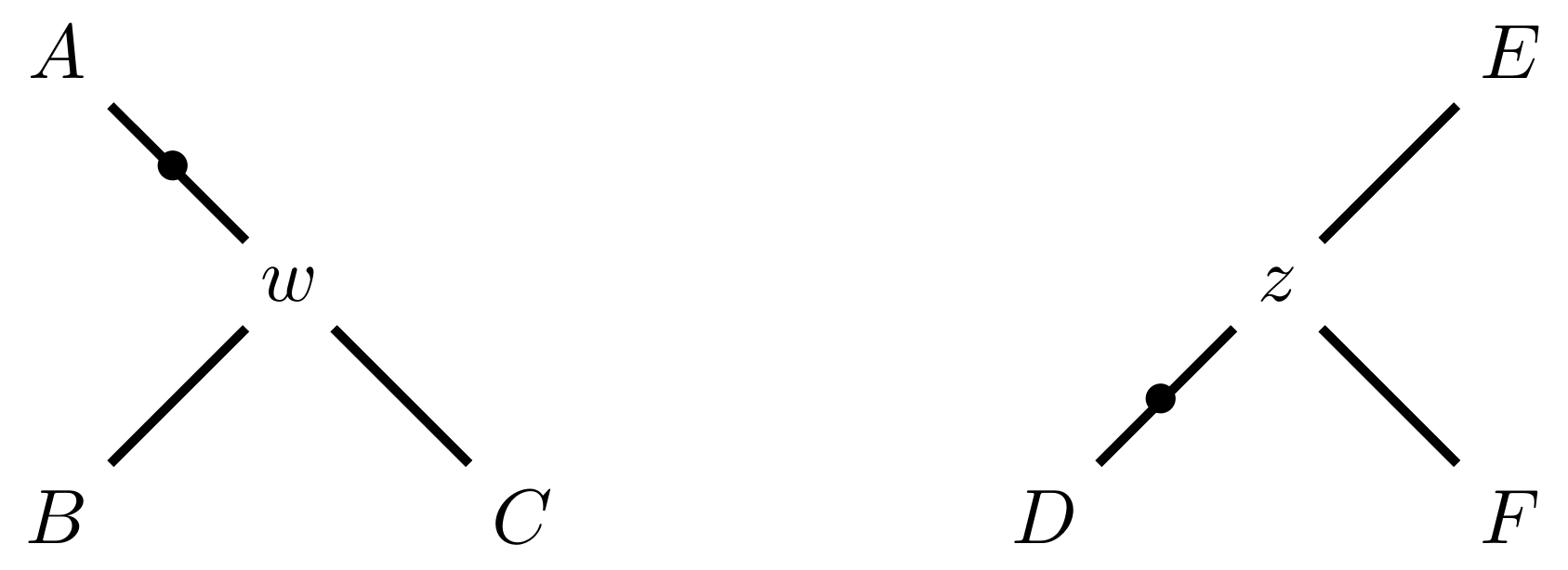 Schematic of two phylogenetic trees. In the tree on the left node w is connected to nodes A, B and C. In the tree on the right node z is connected to nodes D, E and F. Black dots are shown on the edges connecting A-w and D-z.