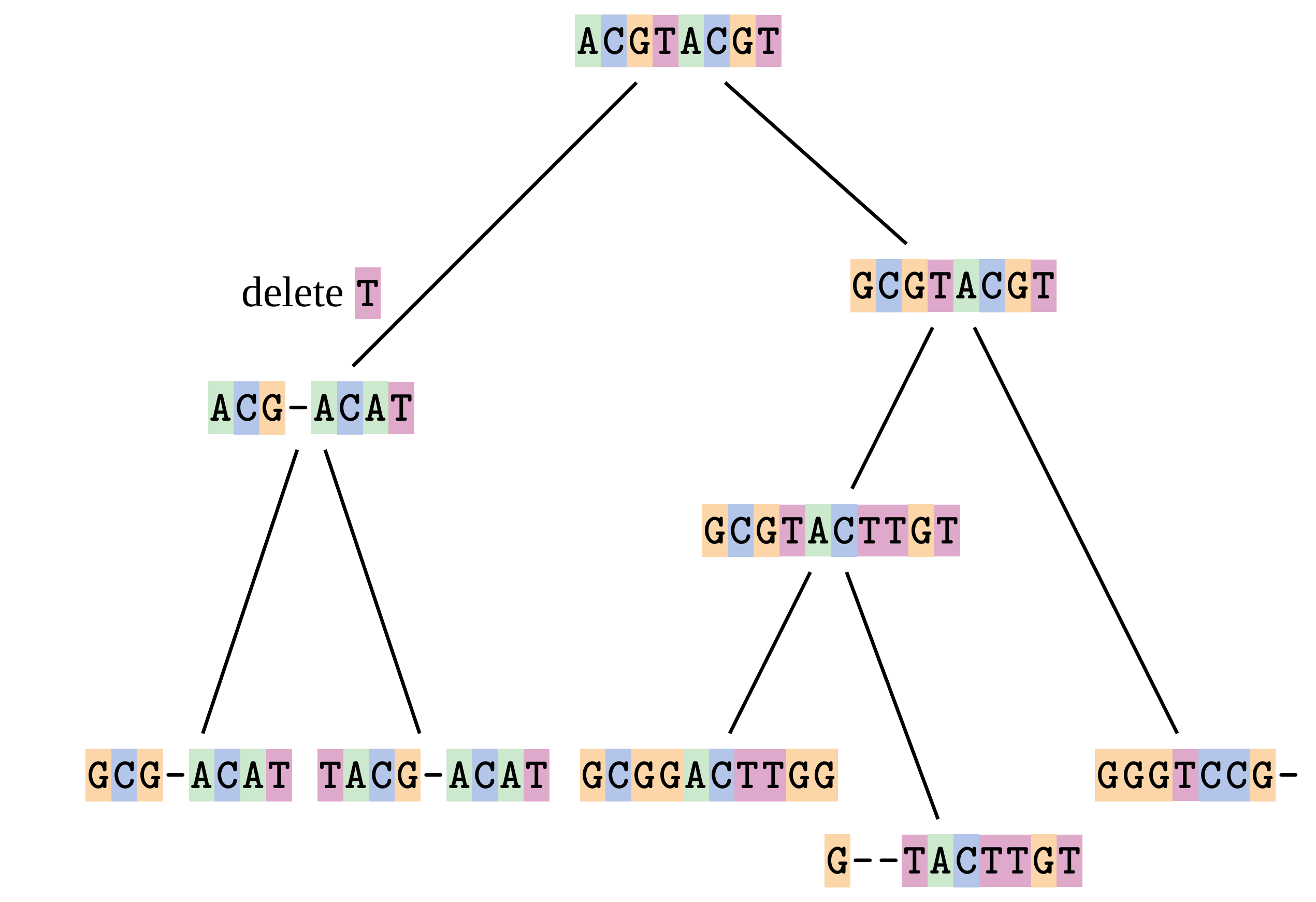 A schematic of a phylogenetic tree showing the evolution of different DNA sequences from a common ancestral sequence. A deletion of a T is highlighted in the first branching event.