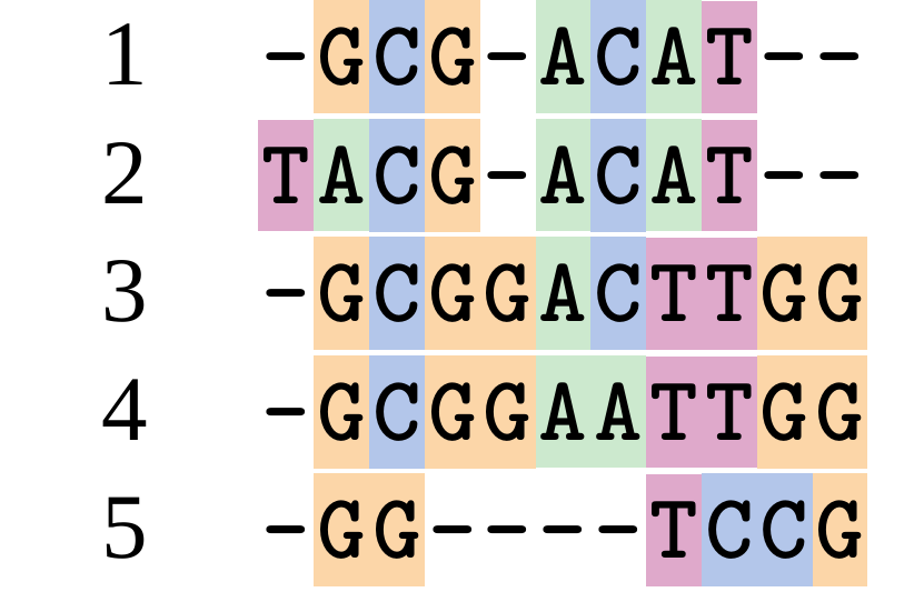 A possible alignment of five DNA sequences arranged vertically. Gaps have been introduced to align homologous sites. Nucleotides are colour coded G = orange, C = blue, A = green, T = pink