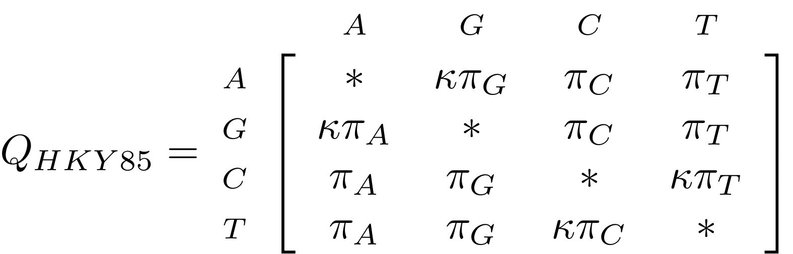 Rate matrix representing the HKY85 model. The matrix has the nucleotides AGCT on both the x and y axis. Variation in nucleotide frequencies πA; πG; πC; πT as well as different transition/transversion rates using parameter kappa. Described at 14:08 in the video recording.