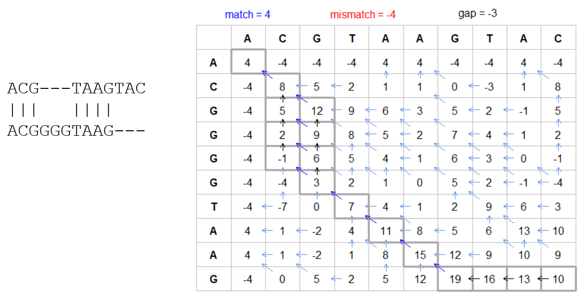 A filled out chart and then several boxes are highlighted showing a best scoring set of matches using a typical algorithm for sequence alignment. The alignment is shown at the left.