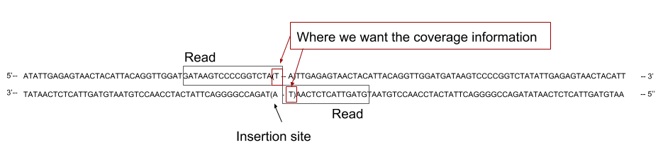 A read align to the genome with its 3' end covering half of the TA site. 