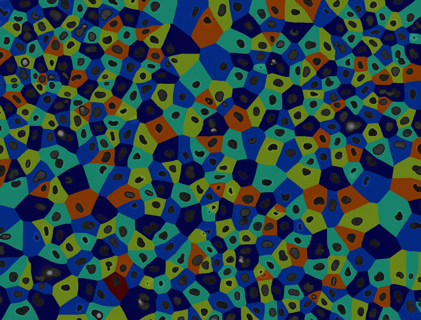 Segmented cell image.
