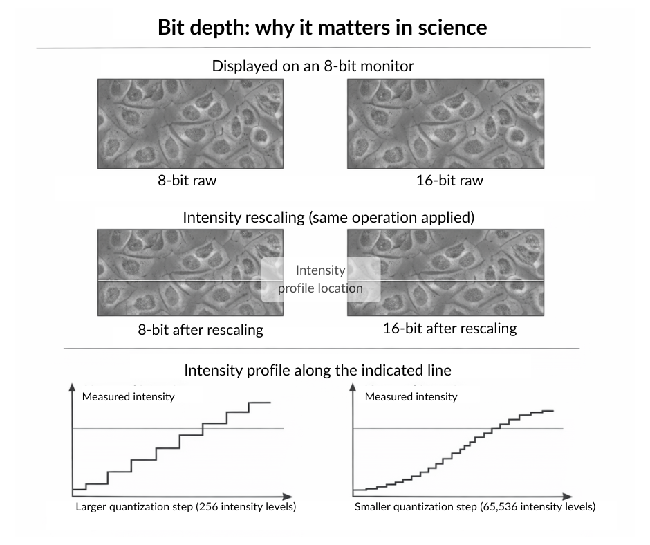 Bit depth: why it matters in science. 