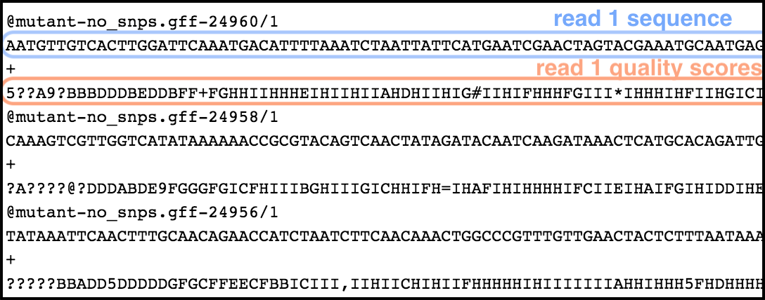 preview of a fastq file showing the 4 line structure described in fig caption. 3 reads are shown.