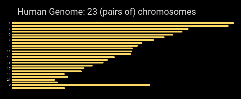 Human genome consists of 23 (pairs of) chromosomes. 