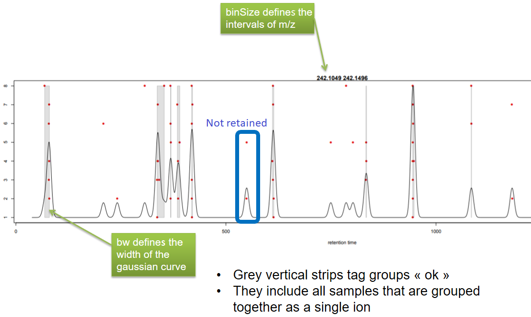The picture recaps the groupChromPeaks output by showing the point plot where sometimes peaks are kept and sometimes not. It is written: "Grey vertical strips tag groups ok; they include all samples that are grouped together as a single ion.". 