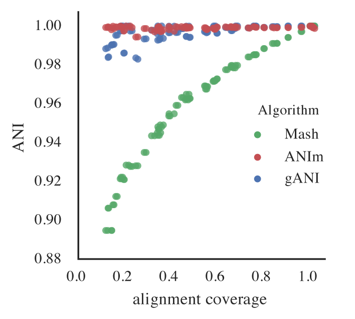 This scatter plot compares the Average Nucleotide Identity (ANI) (y-axis) against alignment coverage (x-axis) for three different ANI calculation algorithms: Mash (green dots), ANIm (red dots), and gANI (blue dots). The plot illustrates how ANI values vary with alignment coverage, showing that gANI and ANIm consistently achieve high ANI values (~1.00) even at lower alignment coverage, indicating robust performance across a range of genome completeness. In contrast, Mash exhibits a clear dependency on alignment coverage, with ANI values decreasing significantly as coverage drops below ~0.6, reflecting its sensitivity to genome incompleteness. This highlights the importance of choosing the appropriate ANI algorithm based on the completeness and quality of the genomes being compared.