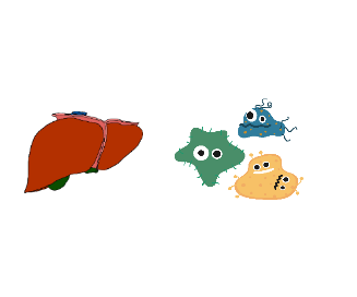 Cartoon of various blobs