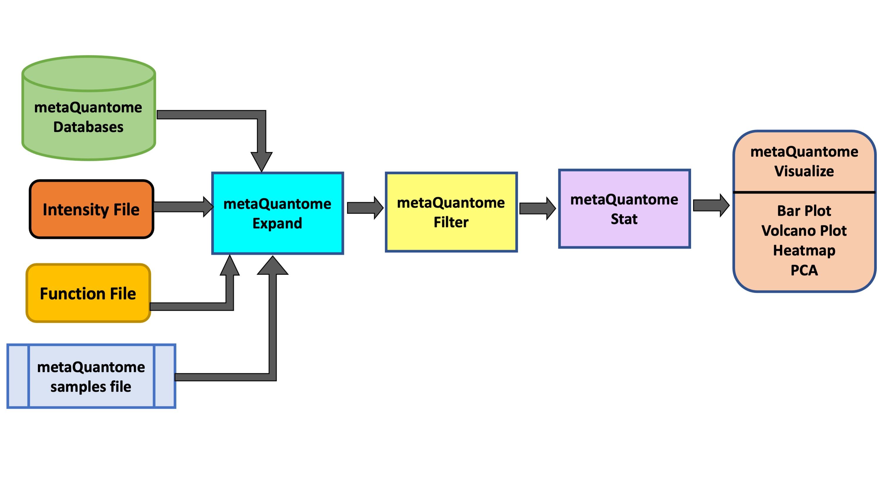 MetaQuantome-function-workflow. 
