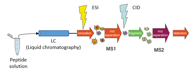 use mmass to analyze data