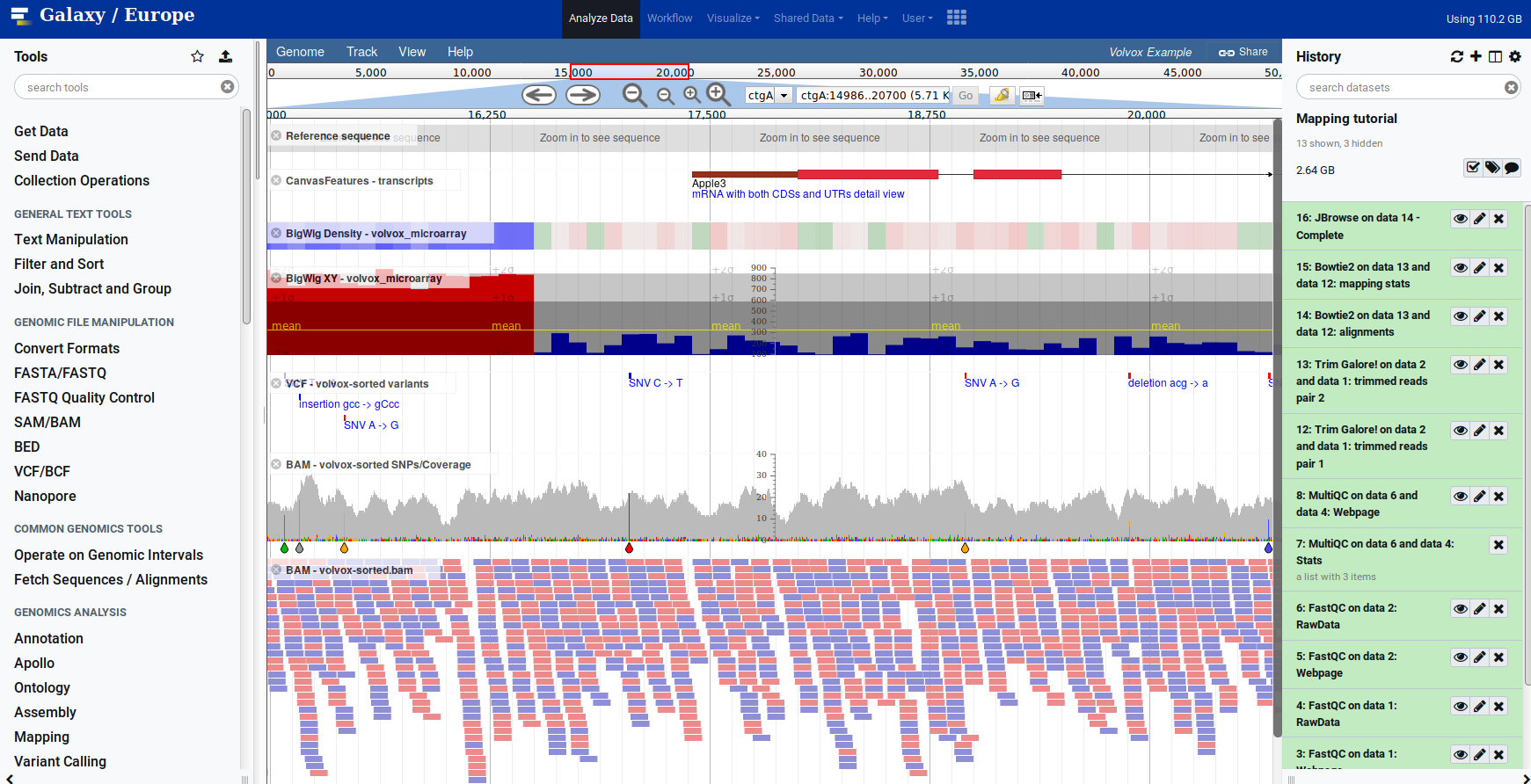 Screenshot of JBrowse in the Galaxy Interface showing transcripts, various box plots, heatmaps, sequencing depth and variation plots.