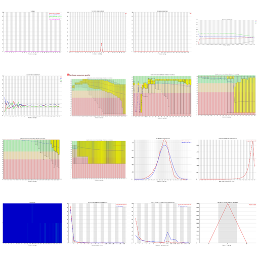 Montage of several different fastq reports showing sequence quality graphs, and a numb er of other line graphs.