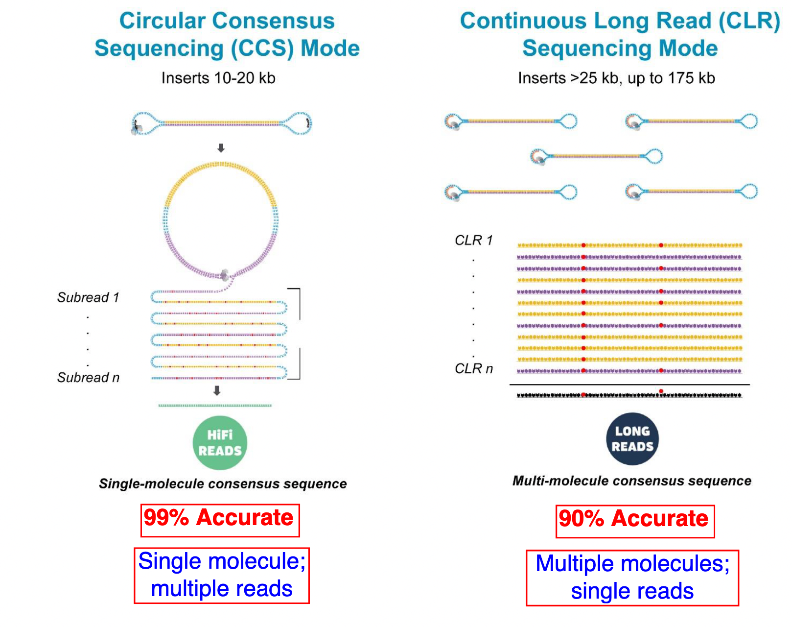 Comparison between PacBio HiFi and CLR sequencing methods. 