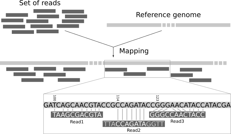 Explanation of mapping. 