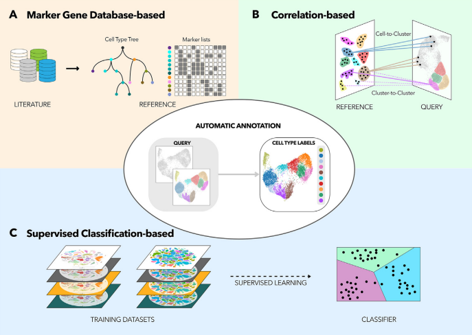 Overview of the three different types of methods (marker gene database, correlation-based, supervised classification)