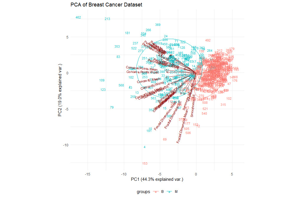 Visualization of the first two PCs on the UCI Breast Cancer dataset. 