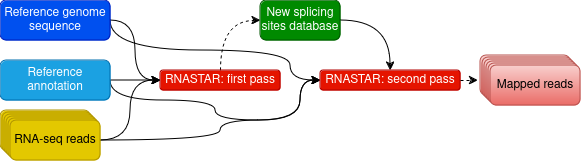 Mapping step with RNASTAR. Two-pass alignment enables sequence reads to span novel splice junctions by fewer nucleotides, conferring greater read depth and providing significantly more accurate quantification of novel splice junctions.