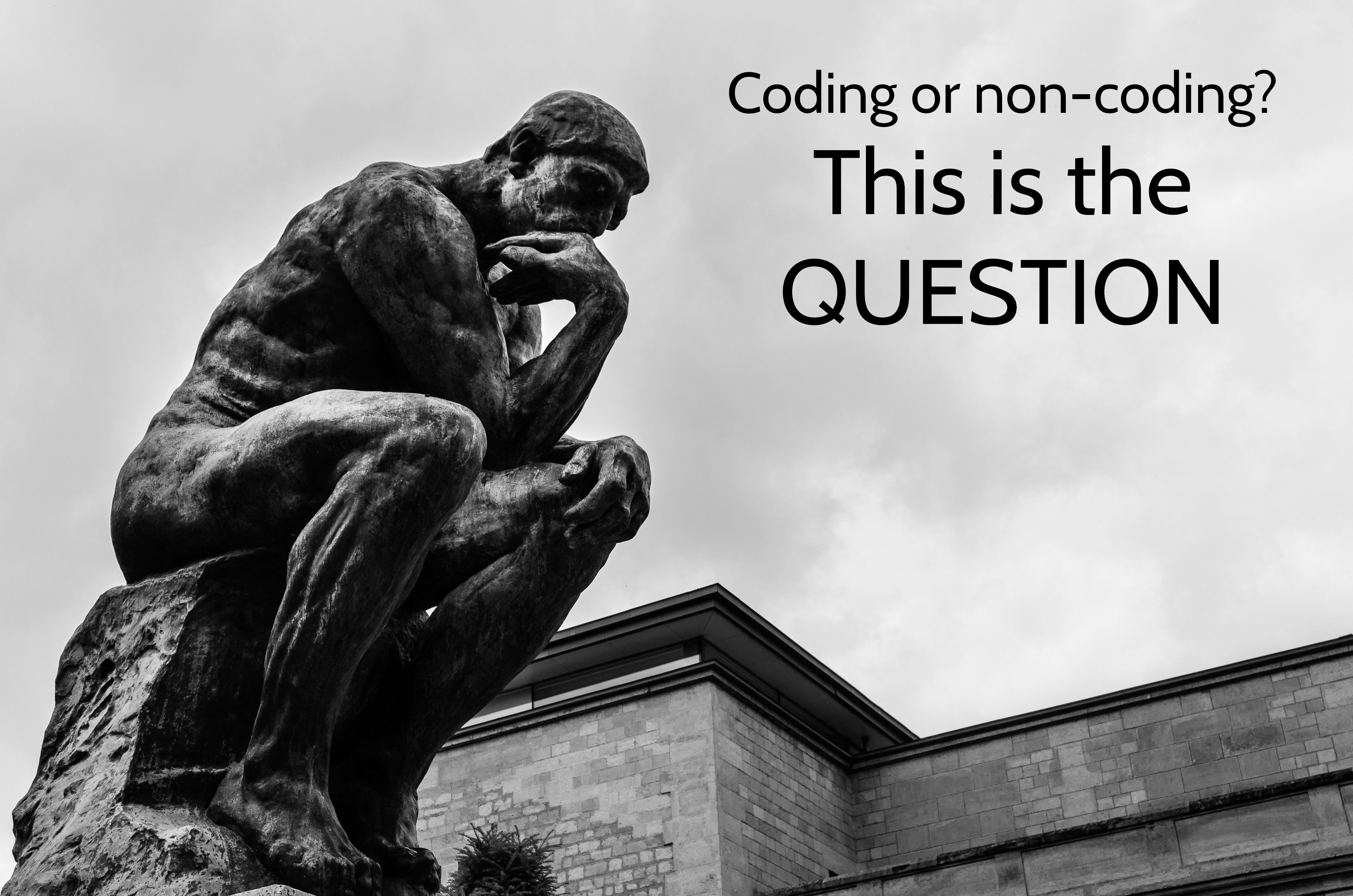 Coding or non-coding? This is the question.