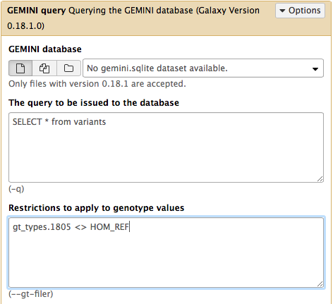 GEMINI_query tool interface. 