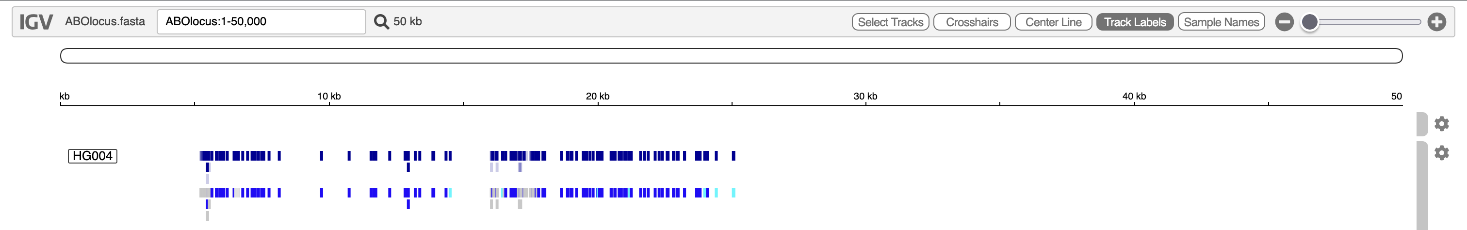 Variants displayed in IGV