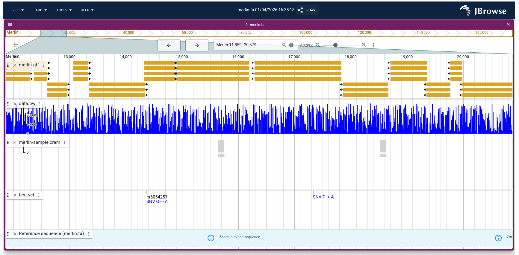 complex gene tracks in JBrowse2. 