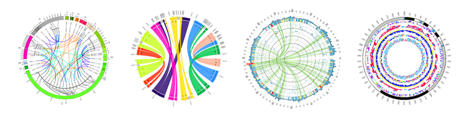 Panel of example Circos images
